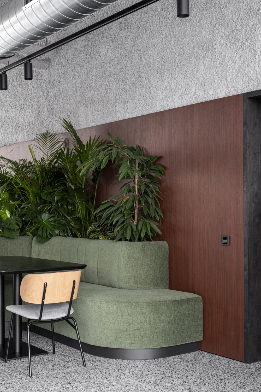 Stay H Hart Rousse II 8